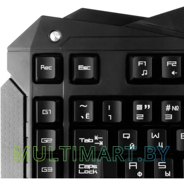 Клавиатура Gembird KB-G200L картинка 10